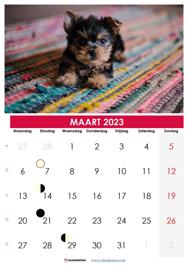 kalender maart belgië 2023
