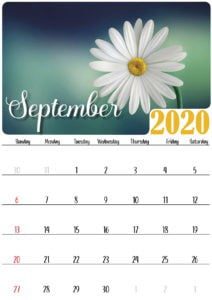 Floral september 2020 calendar