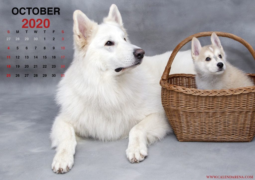Calendar October 2020 to print_en