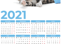 2021 Calendar with cats