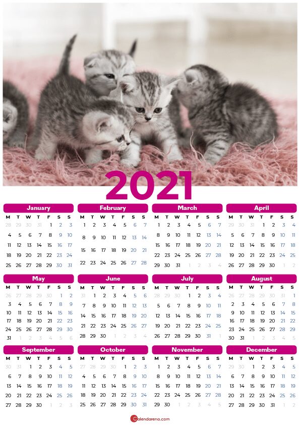 cats 2021_pink