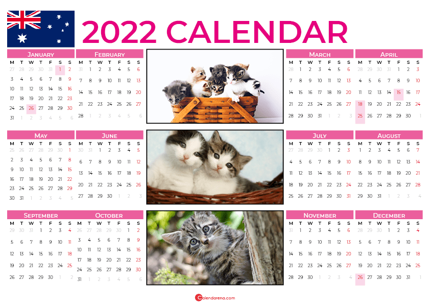 australia cats 2022 calendar
