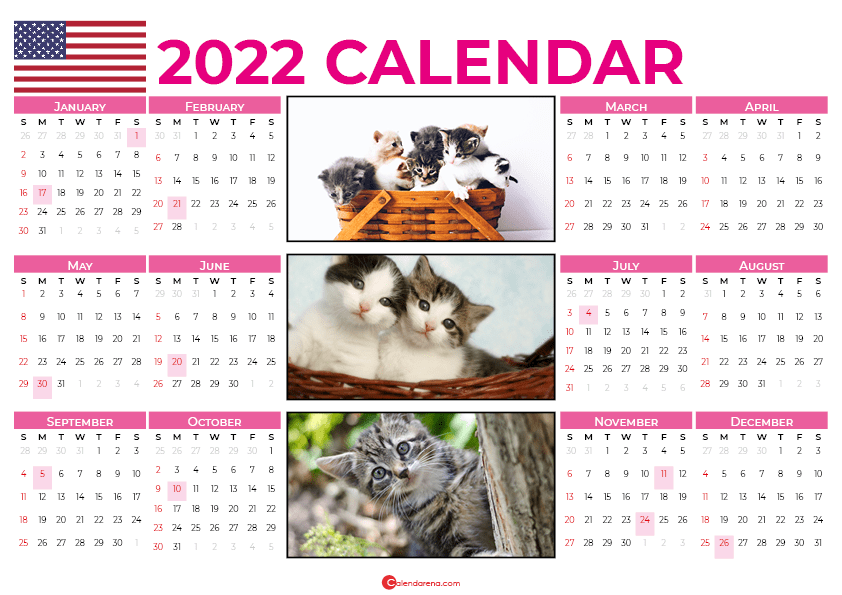 USA cats 2022 calendar