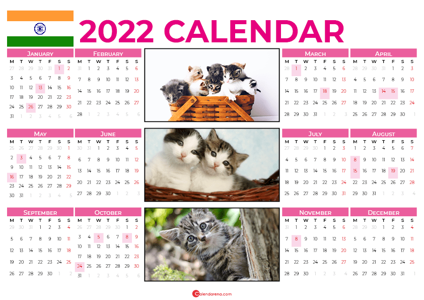 india cats 2022 calendar