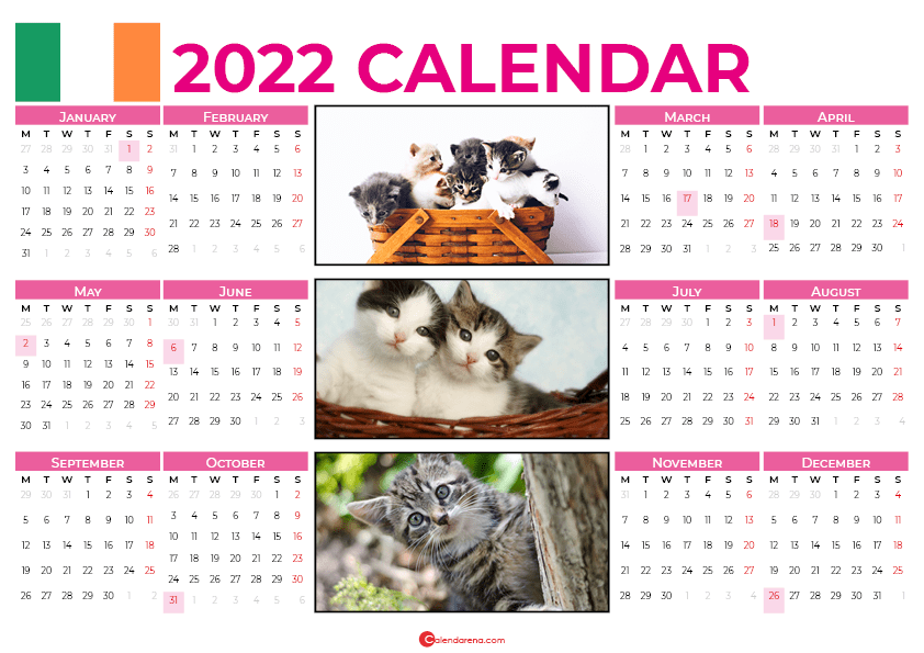 cats 2022 calendar ireland