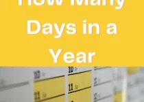 How Many Days in a Year