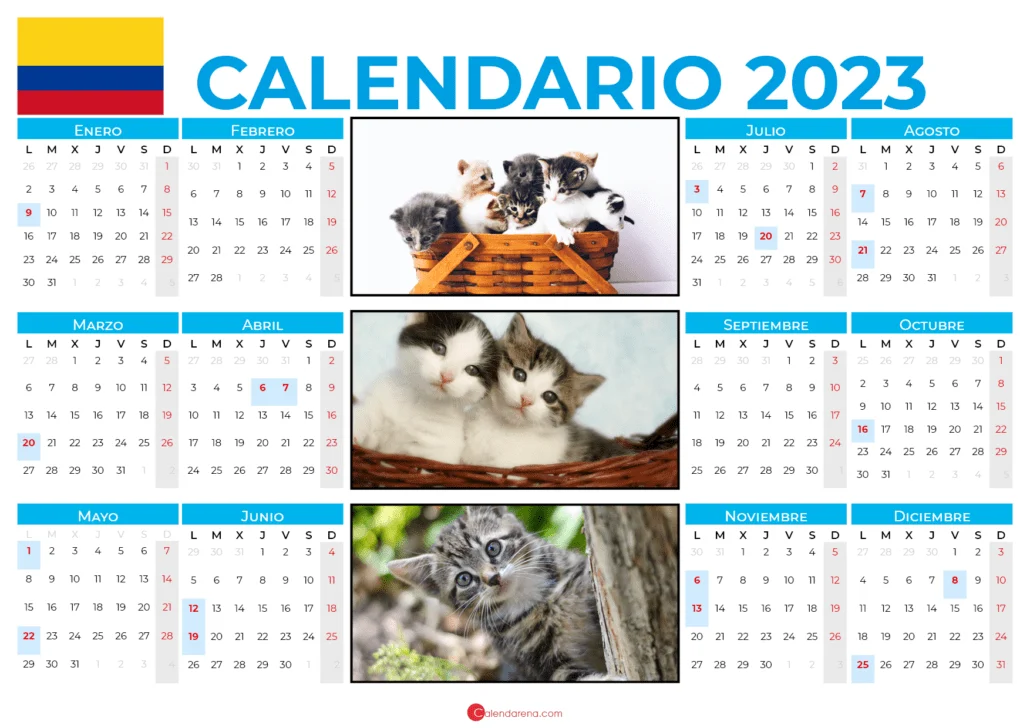 Gatos 2023 calendario Colombia