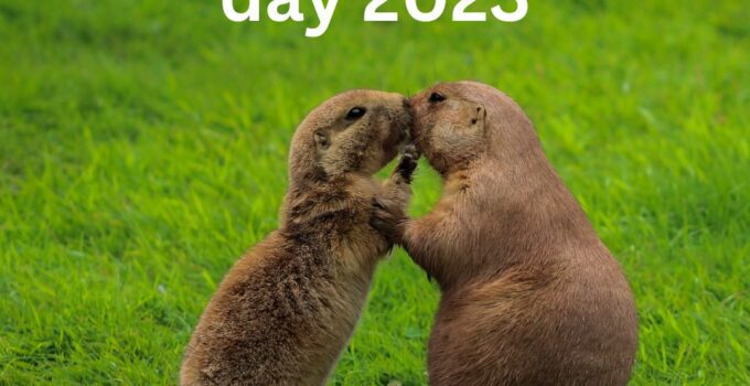 When is groundhog day 2023