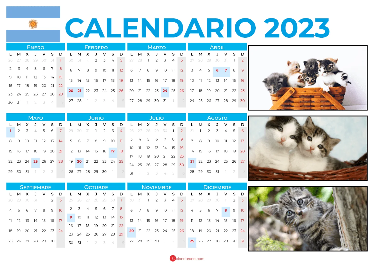 Calendario 2023 Argentina Con Festivos PDF