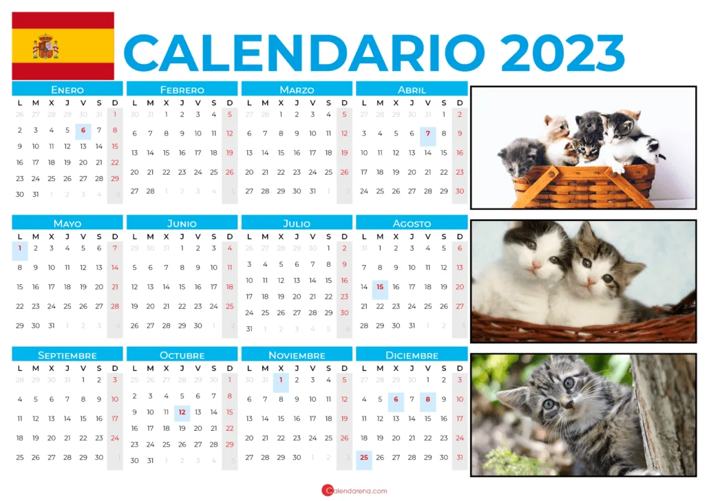 calendario 2023 para imprimir españa gato