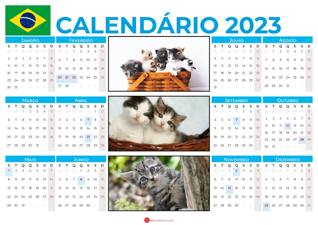 calendario 2023 png brasil