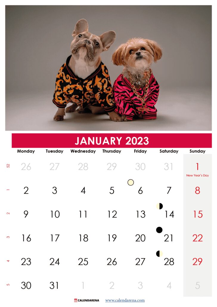 January 2023 calendar Ireland dog model1
