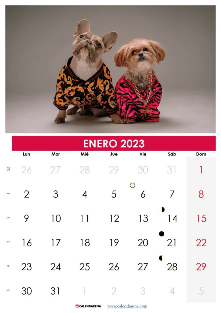 calendario 2023 enero para imprimir argentina
