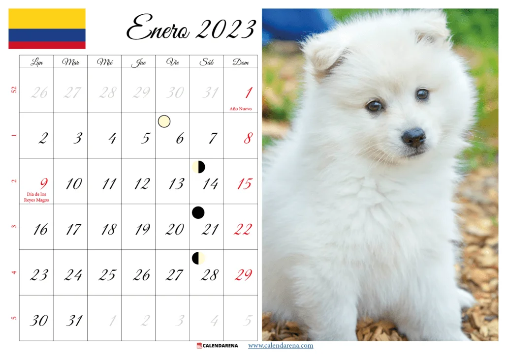 calendario de enero 2023 con festivos