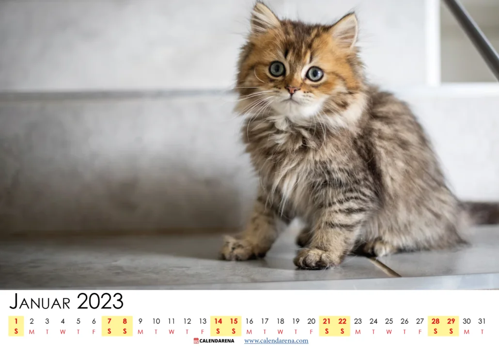 januar kalender 2023