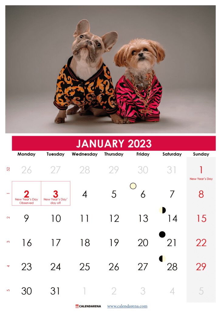january 2023 calendar nz printable free