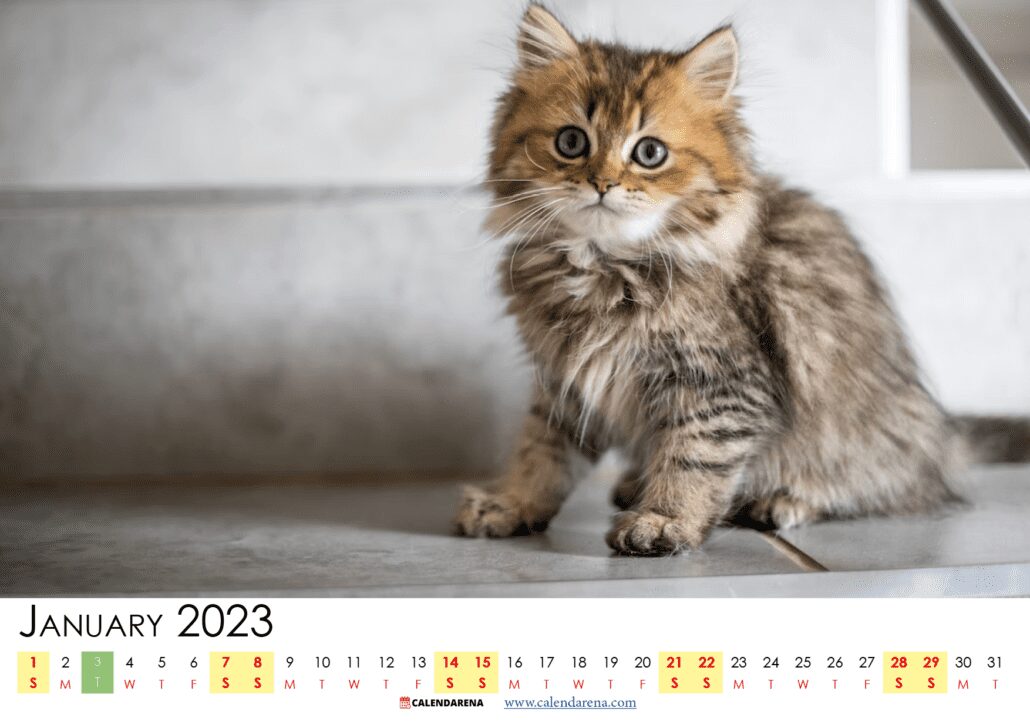 january calendar 2023 printable UK
