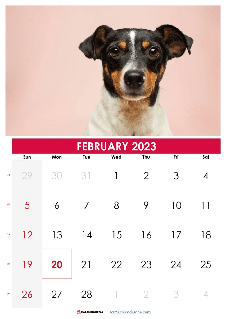February 2023 calendar wallpaper usa