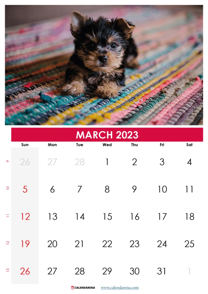 blank march 2023 calendar USA
