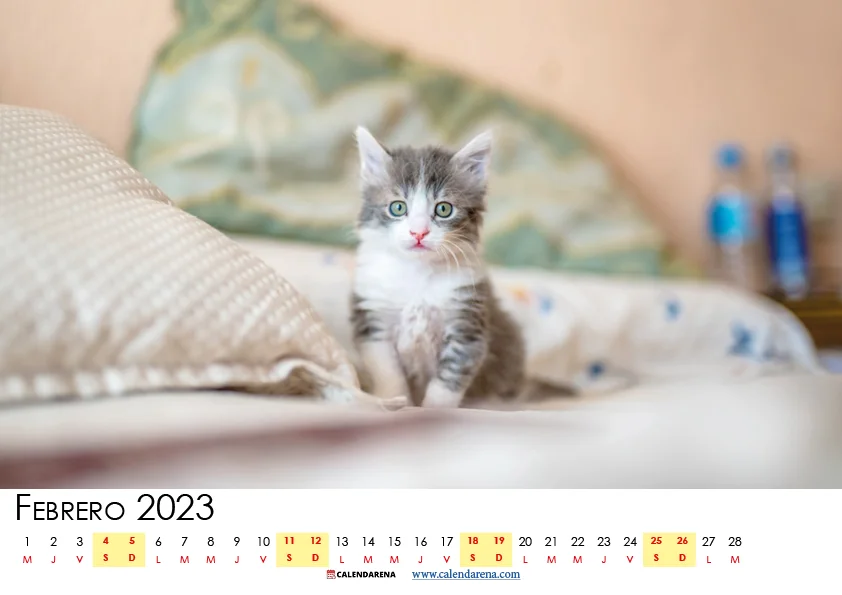 calendario 2023 febrero colombia