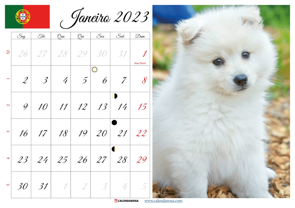 calendário do mês de janeiro de 2023