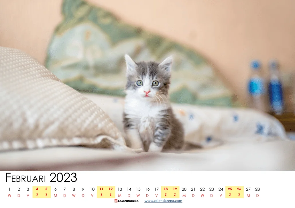 kalender februari 2023 printen nederland