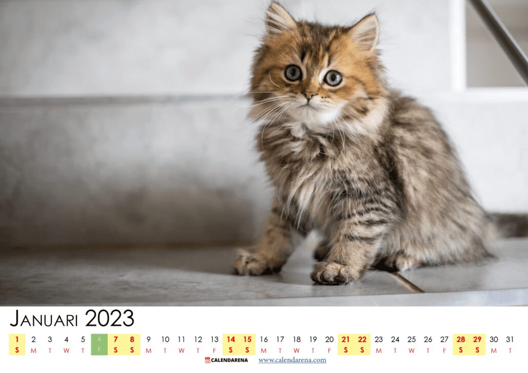 kalender för januari 2023