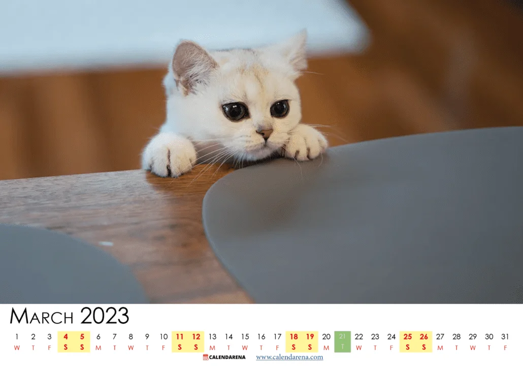 march 2023 calendar printable free south africa