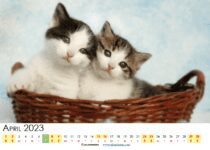 april 2023 calendar with holidays uk pdf