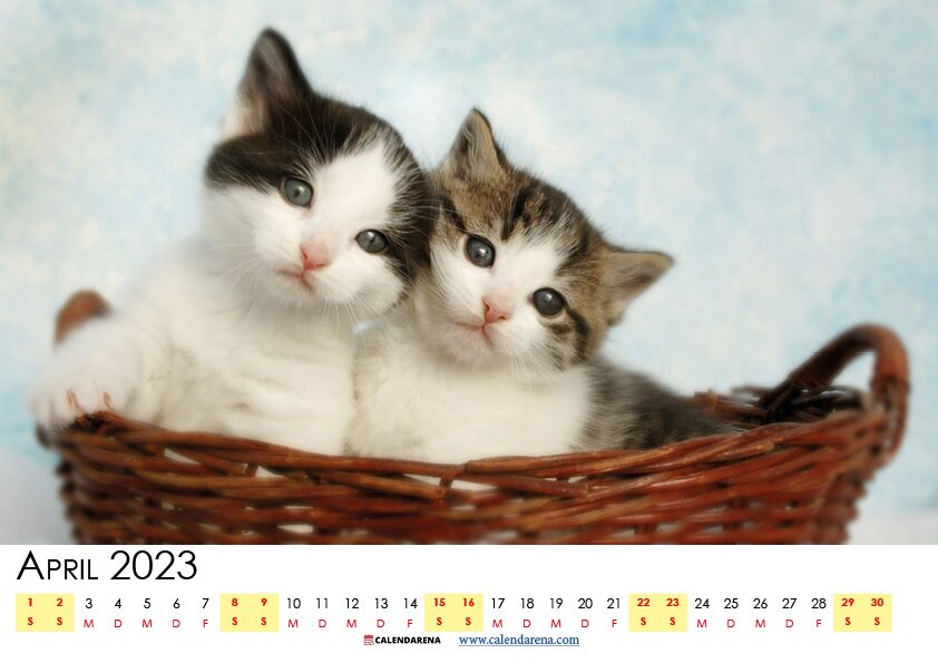 april 2023 kalender Schweiz4
