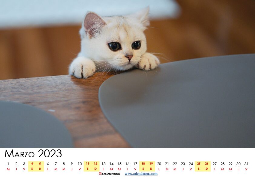 calendario 2023 marzo chile