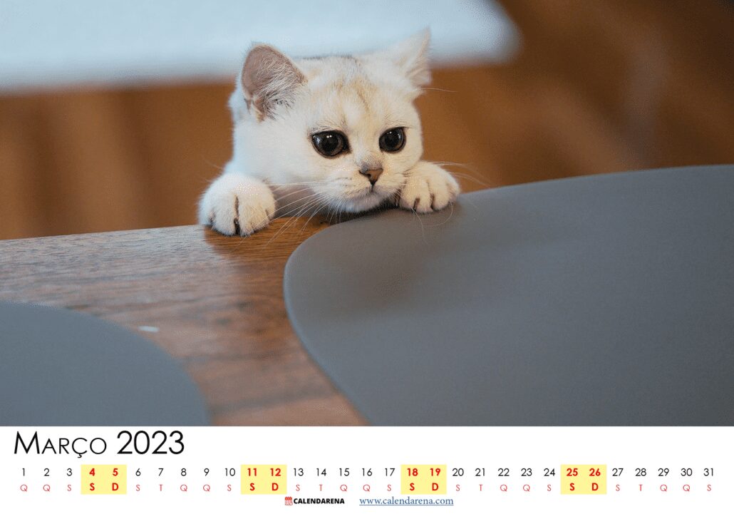 calendario março 2023 feriados PDF brasil