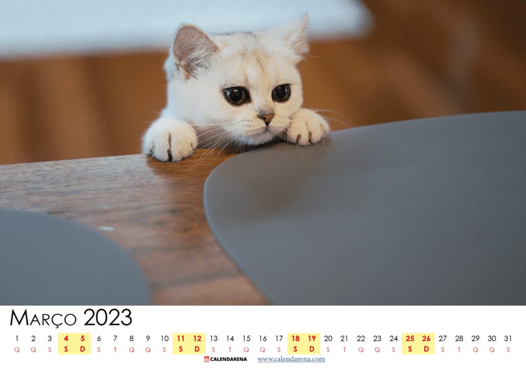 calendario março 2023 feriados PDF portugal