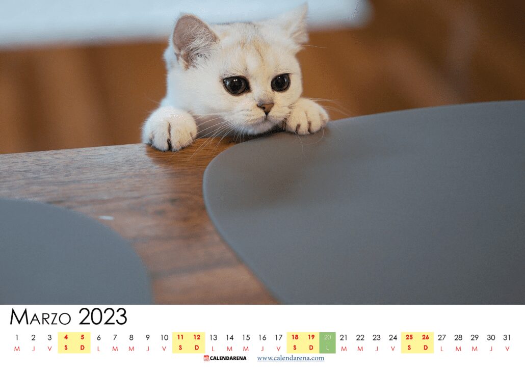 calendario marzo 2023