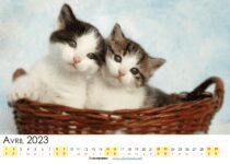 calendrier avril 23 suisse
