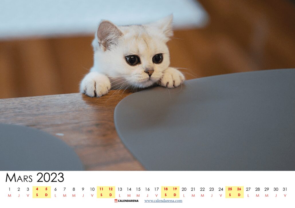 calendrier mars 2023 à imprimer suisse