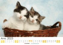 free printable april 2023 calendar USA