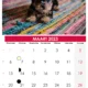 Kalender Maart 2023 zum ausdrucken belgië