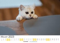 kalender maart nederland 2023