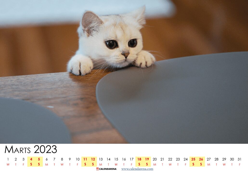 kalender marts 2023 pdf Danmark
