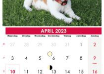 maandkalender 2023 april belgië