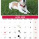 Kalender April 2023 belgië zum ausdrucken