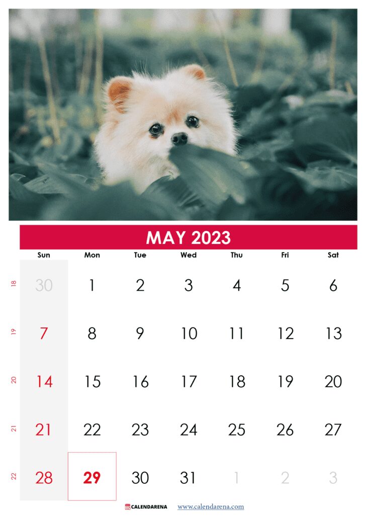may 2023 calendar with holidays printable USA