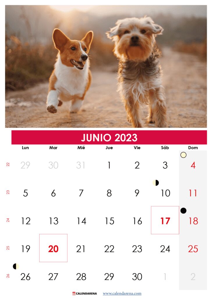 calendario 2023 junio para imprimir argentina