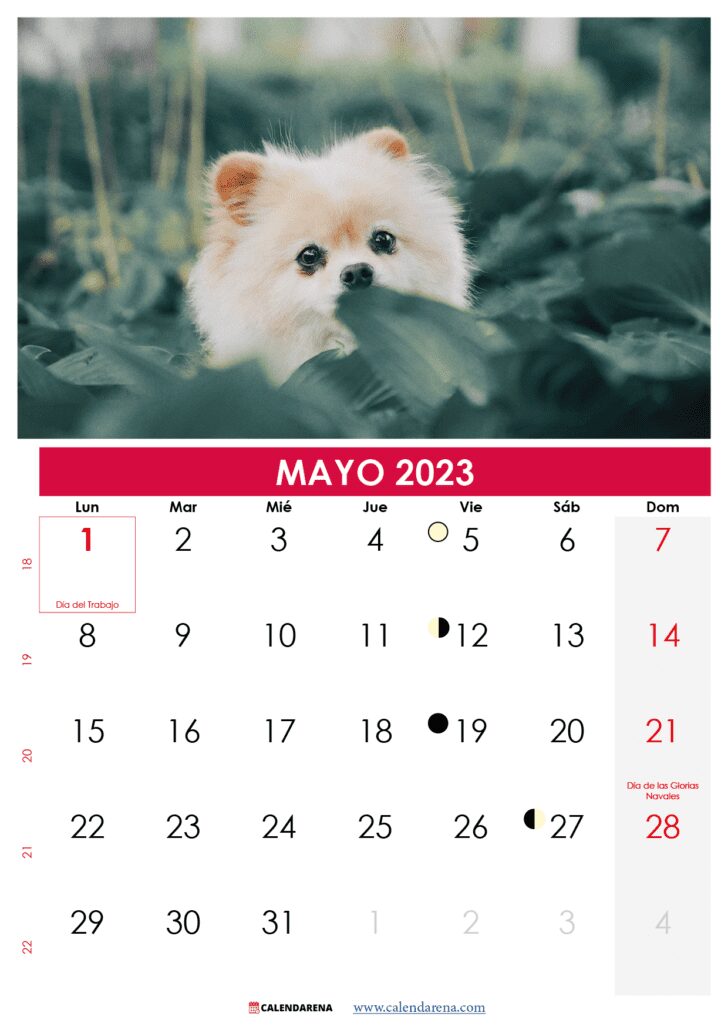 calendario 2023 may para imprimir Chile