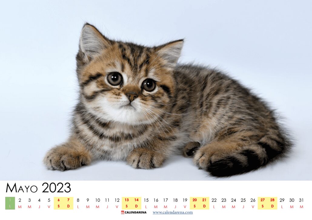 calendario 2023 mayo España