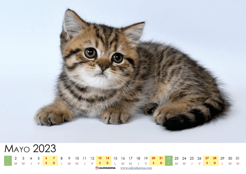 calendario 2023 mayo colombia