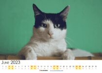 june 2023 calendar canada printable