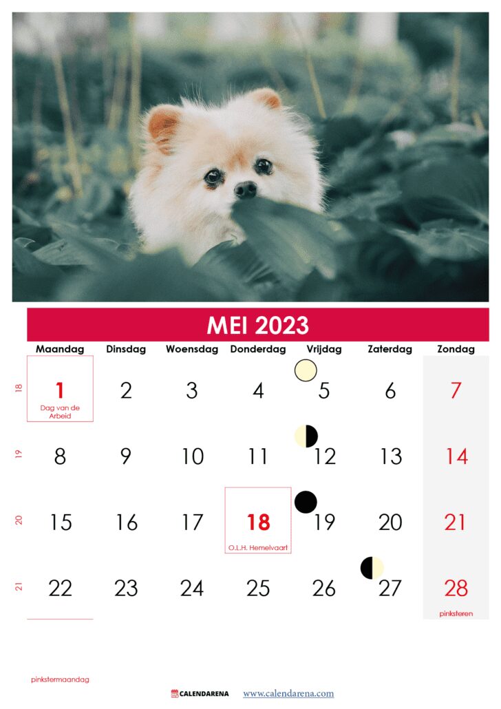 kalender mei belgië 2023