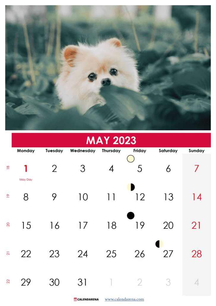 may calendar 2023 NZ printable